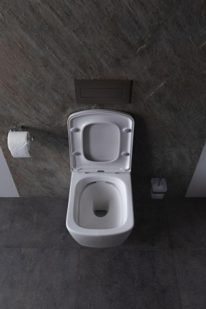 Чаша унитаза подвесная Allen Brau Liberty 4.33004.20 цвет белый без сиденья безободковая каскадный смыв