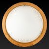 Светильник настенный Toplight Wifa (Вифа) TL9144Y-02PN