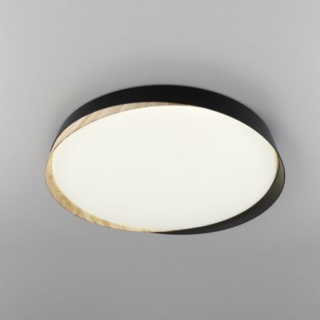 Светильник потолочный музыкальный Citilux Bonny (Бонны) CL754451G