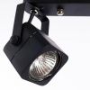 Спот Arte Lamp Lente (Ленте) A1314PL-2BK