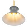 Светильник подвесной Myfar Kristina (Кристина) MR1351-1P