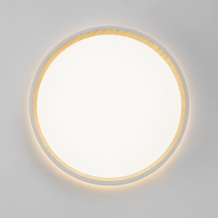 Светильник потолочный музыкальный Citilux Etalon (Еталон) CL750240
