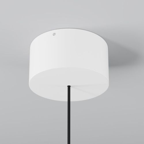 Светильник подвесной Maytoni Apex Outdoor O491PL-L8W3K - фото 5