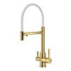Смеситель для кухни Raglo R81 R81.63.03 на столешницу золото