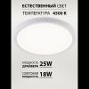 Светильник потолочный Natali Kovaltseva Plain (Плаин) LED LAMPS 81113/2C
