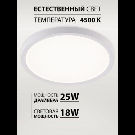 Светильник потолочный Natali Kovaltseva Plain (Плаин) LED LAMPS 81113/2C