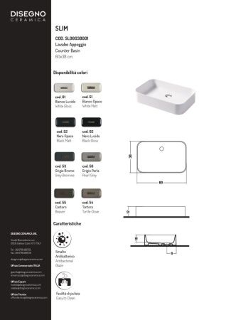 Раковина керамическая Disegno Ceramica Slim SL06038001 60х40 накладная цвет белый