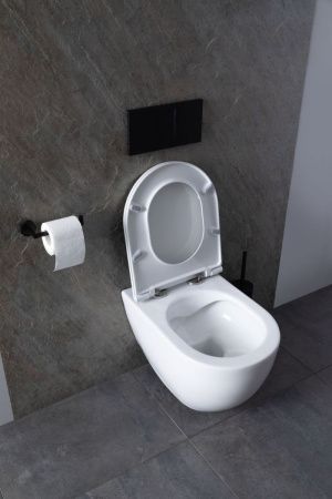 Комплект унитаз с инсталляцией и клавишей смыва Allen Brau Reality 00316510