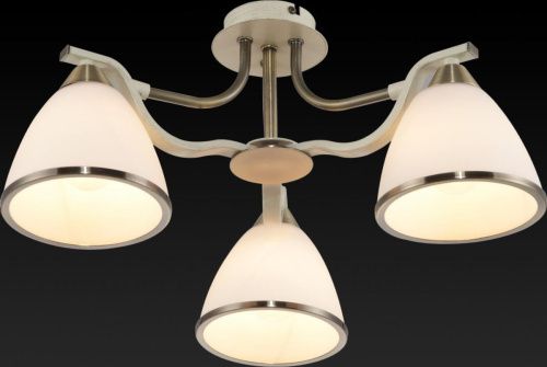 Люстра потолочная Toplight Sheena Bronze (Схеена Бронзе) TL3670X-03AB - фото 3