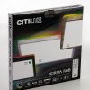 Светильник потолочный Citilux Norma (Норма) CL749K301