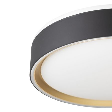 Светильник потолочный музыкальный Citilux Boss (Босс) CL751251G