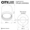 Светильник накладной Citilux Hardy (Харды) CL002C11