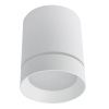 Светильник накладной Arte Lamp Elle (Елле) A1949PL-1WH