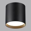 Уличный потолочный светильник Odeon Light Oben (Обен) 7129/8CL