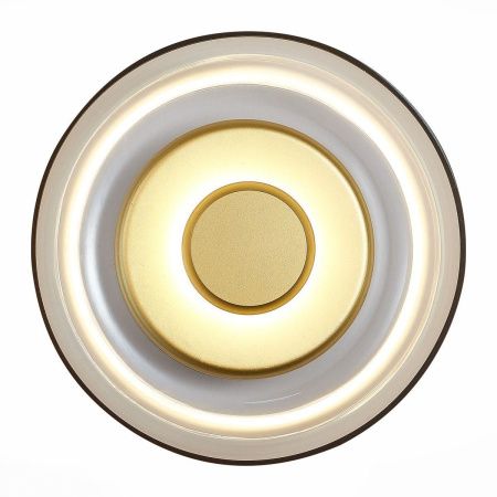 Светильник настенный ST Luce Lazio (Лазио) SL6002.201.01