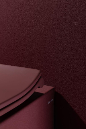 Чаша унитаза подвесная Allen Brau Fantasy 4.11004.BD цвет красный без сиденья безободковая каскадный смыв