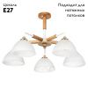 Люстра на штанге Arte Lamp MATTHEW (МАТТХЕВ) A5032PL-5BR