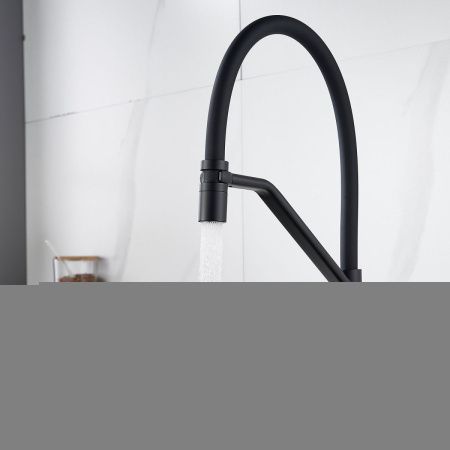 Смеситель для кухни Shevanik S343H-3 на мойку черный