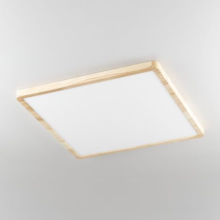 Светильник потолочный Citilux Бейсик CL738K502V
