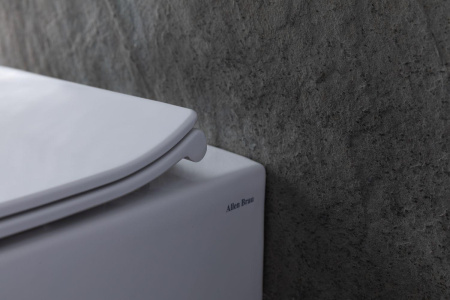 Унитаз приставной Allen Brau Fantasy 4.11007.20 белый с сиденьем микролифт безободковый каскадный смыв