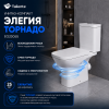 Унитаз напольный с бачком Taliente Elegia Vortex EG25065 белый с сиденьем микролифт безободковый душевой смыв