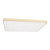 Светильник потолочный Loft It Flims 10228/E