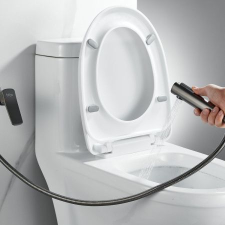 Гигиенический душ со смесителем Raffine F0599T-1 оружейная сталь