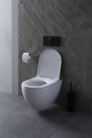 Чаша унитаза подвесная Allen Brau Reality 4.32006.20 цвет белый без сиденья безободковая каскадный смыв