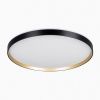 Светильник потолочный музыкальный Citilux Etalon (Еталон) CL750501R