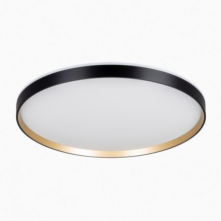 Светильник потолочный музыкальный Citilux Etalon (Еталон) CL750501R