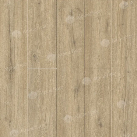 SPC ламинат Alpine Floor Solo Pluse ECO 14-1001 MC Анданте толщина 0.4 см 43 класс 1220х183