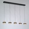 Люстра потолочная Delight Collection Indiana (Индиана) MD22030002-5B black/clear