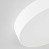 Светильник накладной Citilux Тао CL712180N