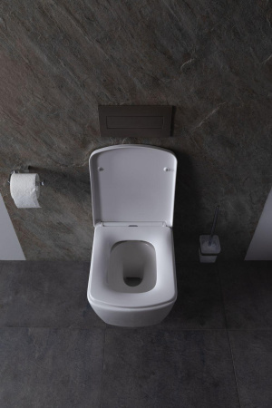 Чаша унитаза подвесная Allen Brau Liberty 4.33004.20 цвет белый без сиденья безободковая каскадный смыв