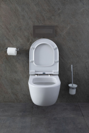 Чаша унитаза подвесная Allen Brau Priority 4.31001.20 цвет белый без сиденья безободковая каскадный смыв