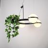 Люстра подвесная ImperiumLoft Palma (Палма) 248666-01