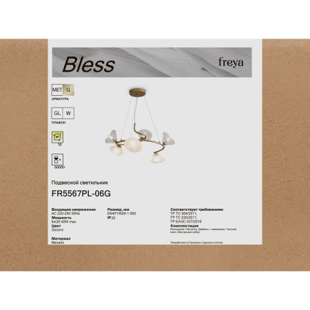 Люстра подвесная Freya Bless (Блесс) FR5567PL-06G