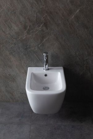 Биде подвесное Allen Brau Infinity 4.21006.20 цвет белый