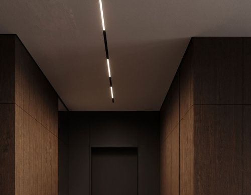 Трековый магнитный светильник Ambrella Light Track System (Трацк Сыстем) GL2330 - фото 5