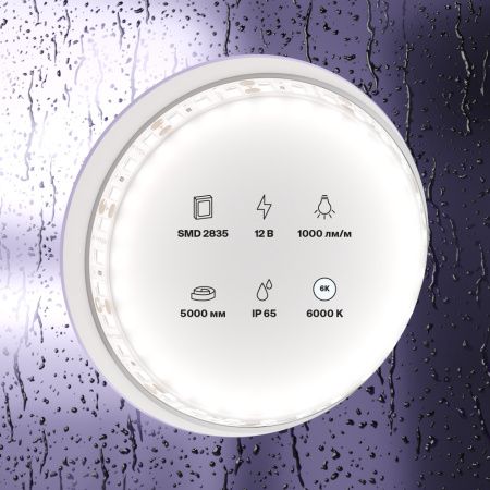 Светодиодная лента Maytoni Led Strip 10113