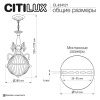 Светильник подвесной Citilux Идальго CL434121