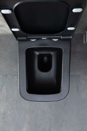 Чаша унитаза подвесная Allen Brau Infinity 4.21011.31 цвет черный без сиденья безободковая каскадный смыв