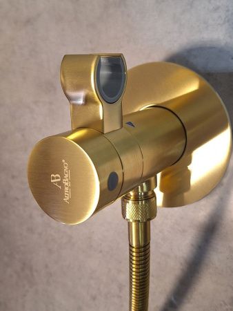 Гигиенический душ со смесителем AltroBagno BM AltroBagnoOggetto060403BG золото