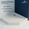Душевой поддон акриловый RGW Acryl (Акриловые) 16180500-41 100х100 белый