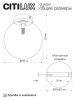 Светильник потолочный Citilux Orton (Ортон) CL202511