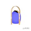 Настольная лампа iLedex Giggle (Гиггле) OVS1100-CH WH
