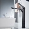 Смеситель для раковины Shevanik S4211H на столешницу черный