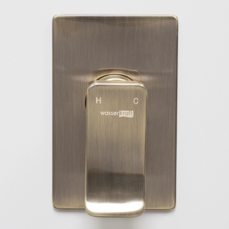 Смеситель для душа WasserKRAFT Exter 1600 1651 встраиваемый бронза