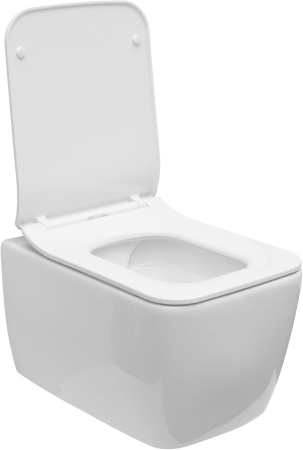 Чаша унитаза подвесная Allen Brau Liberty 4.33007.20 цвет белый без сиденья безободковая каскадный смыв