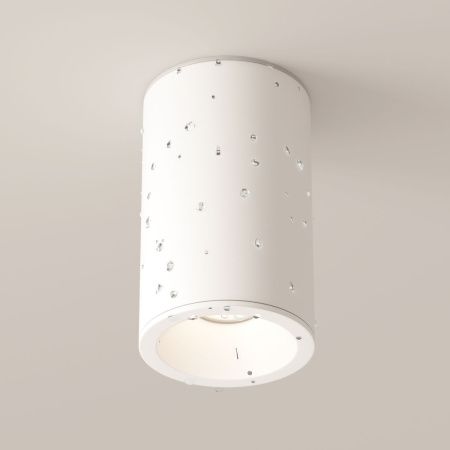 Светильник потолочный Maytoni Technical Zoom (Зум) C029CL-01-S-W
